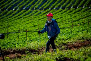 BIB: 
                            <button type="button" onclick="openModal(19160903)" class="btn btn-primary btn-sm float-right btn-popup" data-toggle="modal" data-target=".modal-high-quality">
                        <i class="fas fa-shopping-cart"></i> Add to Cart
                    </button>
                                            <button type="button" onclick="isThisMe(19160903, true)" class="btn btn-success btn-sm float-right btn-popup btn-isme hidden" data-toggle="tooltip" data-placement="bottom" title="นี่คือรูปของคุณใช่ไหม คลิกที่นี่เพื่อเอาเข้าอัลบั้ม">
                        <i class="fas fa-plus"></i> Add to album
                    </button>
                    <button type="button" onclick="isThisMe(19160903, false)" class="btn btn-warning btn-sm float-right btn-popup btn-isnotme hidden">
                        <i class="fas fa-ban"></i> Remove from album
                    </button>